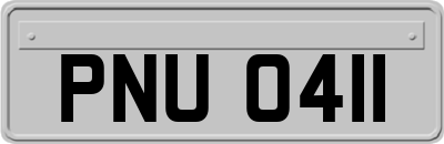 PNU0411