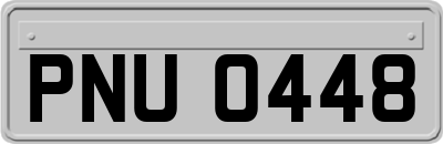 PNU0448