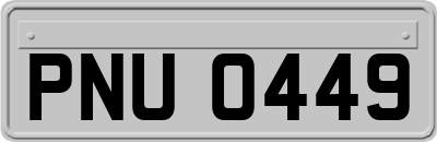 PNU0449