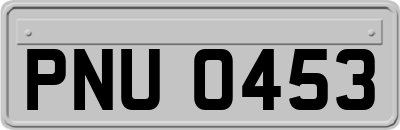 PNU0453