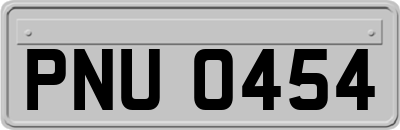PNU0454