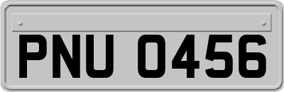 PNU0456