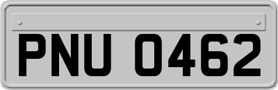 PNU0462