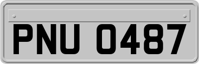 PNU0487