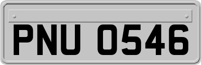 PNU0546