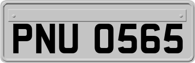 PNU0565