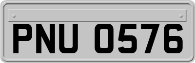 PNU0576
