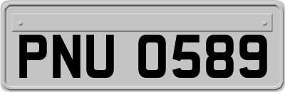 PNU0589