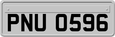 PNU0596