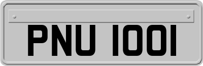 PNU1001