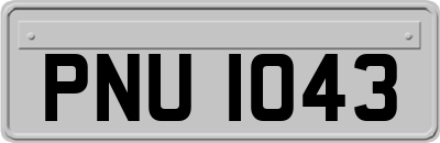 PNU1043