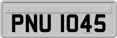 PNU1045