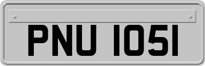 PNU1051