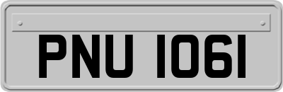 PNU1061