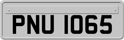 PNU1065