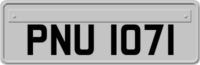 PNU1071