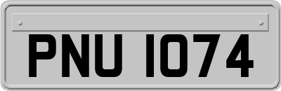 PNU1074