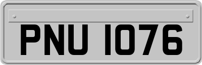 PNU1076
