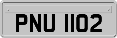 PNU1102