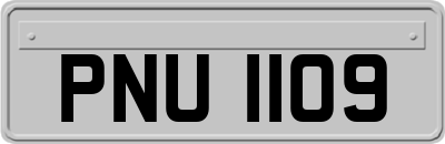 PNU1109