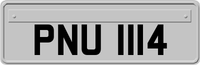 PNU1114
