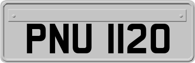 PNU1120