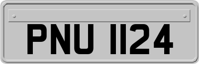 PNU1124