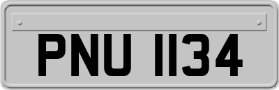 PNU1134