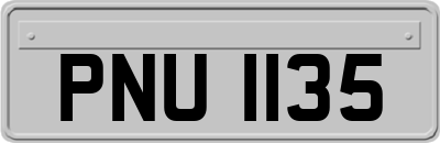 PNU1135