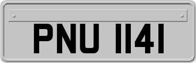 PNU1141