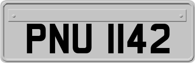 PNU1142