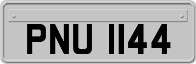PNU1144