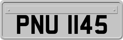 PNU1145