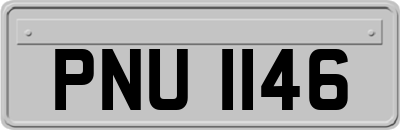 PNU1146