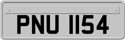 PNU1154