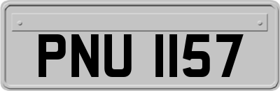 PNU1157
