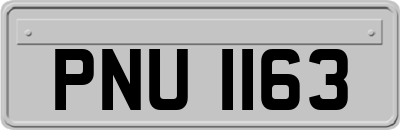 PNU1163
