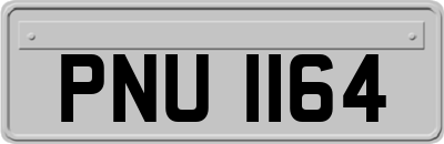 PNU1164