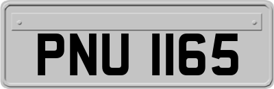 PNU1165