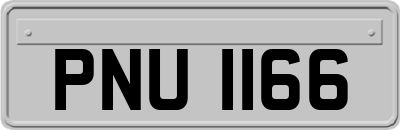 PNU1166