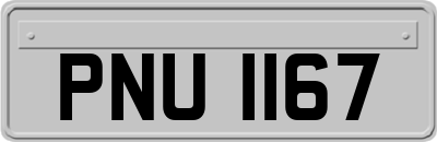 PNU1167