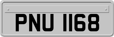 PNU1168