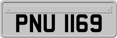 PNU1169