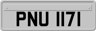 PNU1171