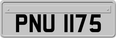 PNU1175