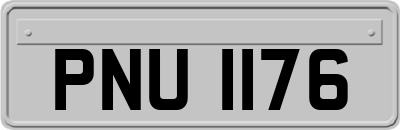PNU1176