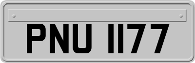 PNU1177