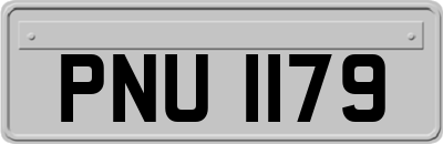 PNU1179