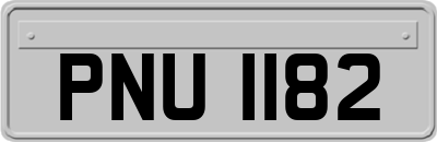 PNU1182