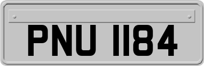 PNU1184